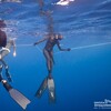 Логотип телеграм канала @freedive_vl — Фридайвинг в Приморье