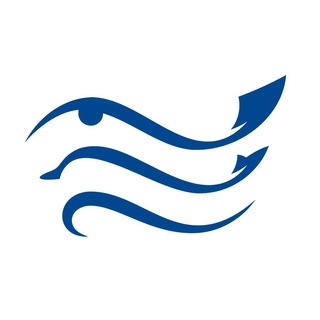 Логотип телеграм канала @freedivingfederation — Федерация фридайвинга