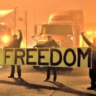 Логотип телеграм канала @freedompeacefromisrael — Свободный Мир. Израиль