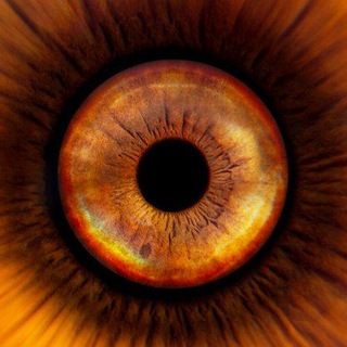 Логотип телеграм канала @freeeyefree — Freeeye