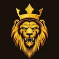 Telegram kanalining logotibi freenetmorocco1 — FREE NET MOROCCO 🇲🇦