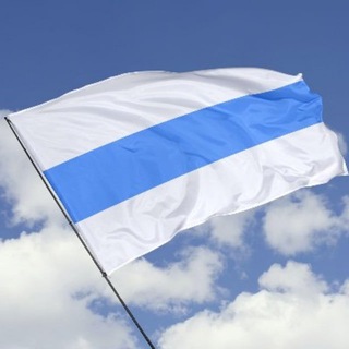 Telegram channel Свободные опросы России logo