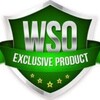 Logo of telegram channel freewsodownloads — WsoDownloads