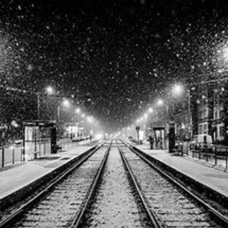 Logo des Telegrammkanals freieberichterstattung - Freie Berichte und eigene Gedanken