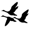 Logo of telegram channel freiesreiseneu — Freies Reisen EU 🕊🗺🏝🏔🚘🛩