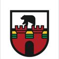 Logo des Telegrammkanals freiesst - Freies Sachsen-Anhalt offiziell