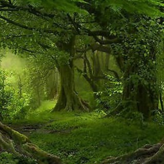 Logo des Telegrammkanals freispech_kanal - Werde wieder Mensch.....