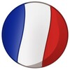 Логотип телеграм канала @french_petrov — Полиглот Дмитрий Петров (французский)