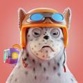 Telegram channel Crazy Frens logo