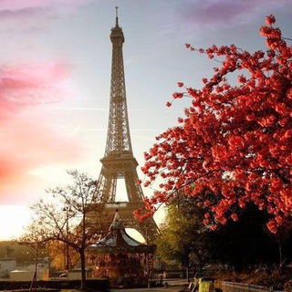 لوگوی کانال تلگرام frenchradio — Radio Française
