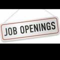 Telegram channel Freshers/Experience Jobs logo