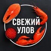 Логотип телеграм канала @freshfishru — Свежий Улов