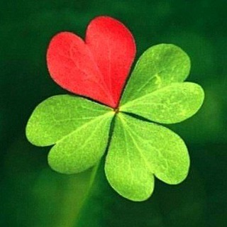 Logo of telegram channel friendly_ireland — Friendly Ireland 🇮🇪❤️