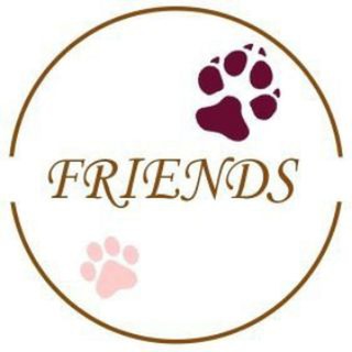 Логотип телеграм канала @friendscollar — Friends Collar
