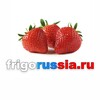 Логотип телеграм канала @frigo_russia — FrigoRussia 🇷🇺