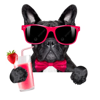 Логотип телеграм канала @frigolade — Французский юмор