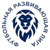 Логотип телеграм канала @frlliga — Турниры по футболу в Казани🦁