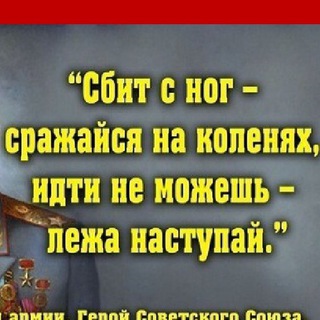 Логотип телеграм канала @frodji — chansibatterflaykartel