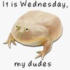 Логотип телеграм канала @frogesday — Среда, мои чуваки🐸