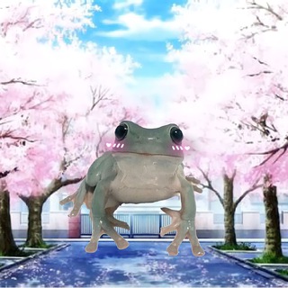 Логотип телеграм канала @frogphrog — Лягушки жабятся / frogs 🐸