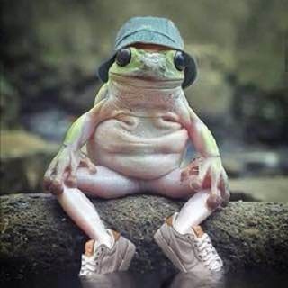 Telegram channel Frog🐸Posting logo