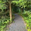 Логотип телеграм канала @fromforestwlove — плейлист девочки из леса 🌿🌲
