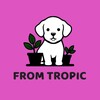 Логотип телеграм канала @fromtropic — ИЗ ТРОПИКОВ / FROM TROPIC