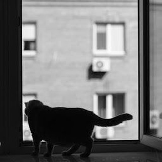 Логотип телеграм канала @fromwindow — Вид из моего окна