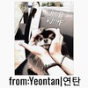 Логотип телеграм канала @fromyeontan — from Yeontan|연탄
