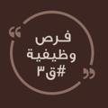 Logo saluran telegram frs_q3 — فرص وظيفية 🎯 #ق3