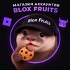 Логотип телеграм канала @fruitsaccounts — FruitAccounts | Аккаунты блокс-фрутс🍇