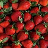 Логотип телеграм канала @fruktik_kem — ФРУКТИК КЕМЕРОВО