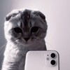 Логотип телеграм канала @fsdps — 🎰 Прайс кот 🎰