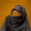 لوگوی کانال تلگرام fshlva — ف