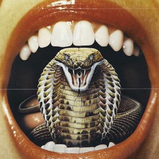 Логотип телеграм канала @fshncobra — FASHION COBRA