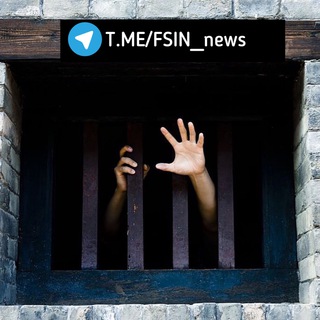 Логотип телеграм канала @fsinnews — FSIN_news