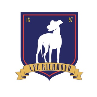 Логотип телеграм канала @ftbllslf — Football is life