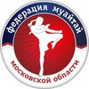 Логотип телеграм канала @ftbmo — ФММО