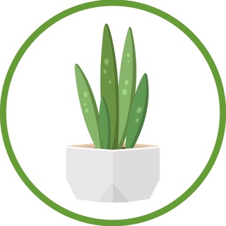 电报频道的标志 ftok_plants — 🌴园艺🌿绿植🪴盆栽🌵多肉🍃