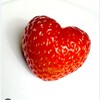 Логотип телеграм канала @ftr446r — RAG_роздачи🍓🍓🍓