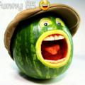 لوگوی کانال تلگرام fu85nny — 🔥 funny 85 🔥