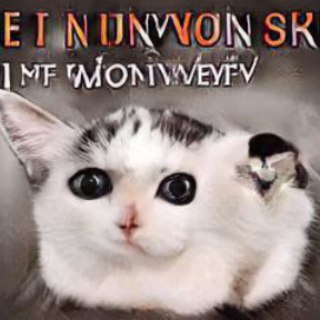 Логотип телеграм канала @fuckedupcats — переебаные коты