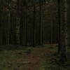 Логотип телеграм канала @fuckfeelximik — лайв химика
