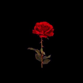 Логотип телеграм канала @fucktopmusic — Fuck top Music