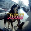 Telegram channel KUSAY | Webm | Memes logo