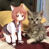 Логотип телеграм канала @fufnii — гамак