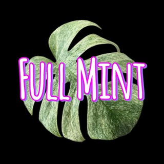 Логотип телеграм канала @full_mint — Full Mint 🍀 растения | коты