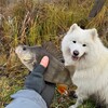 Логотип телеграм канала @fullcampby — FullCamp