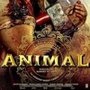 Telegram channel Animal Full Hd movie logo