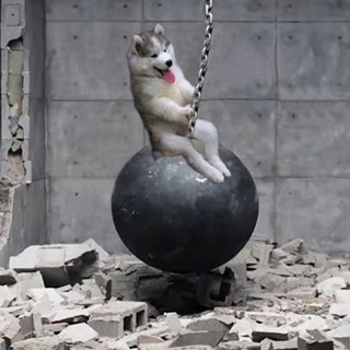 Logo of telegram channel fun4fre — Funny videos & pictures